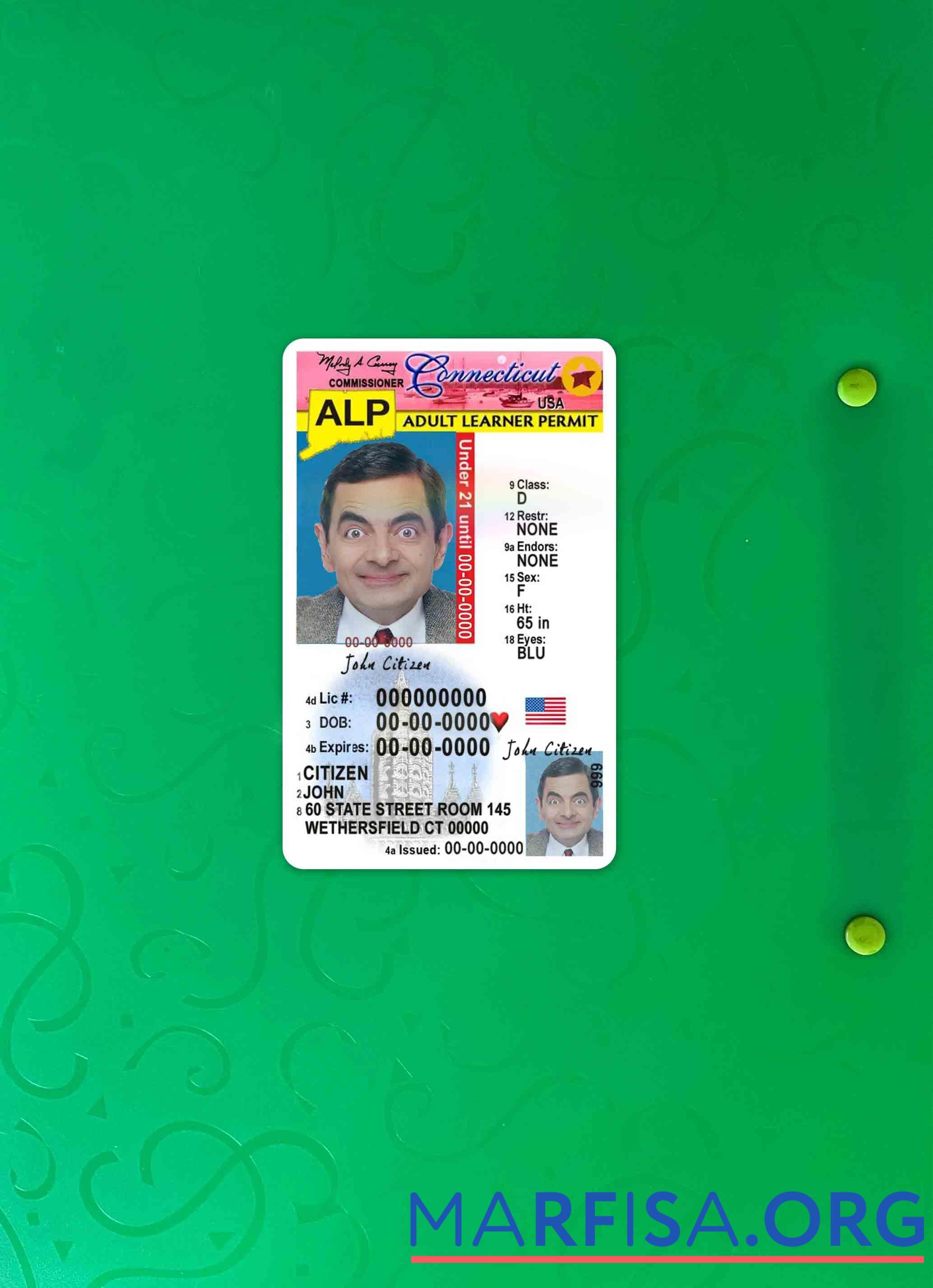 Downloadable USA Connecticut driving license under 21 photolook sample